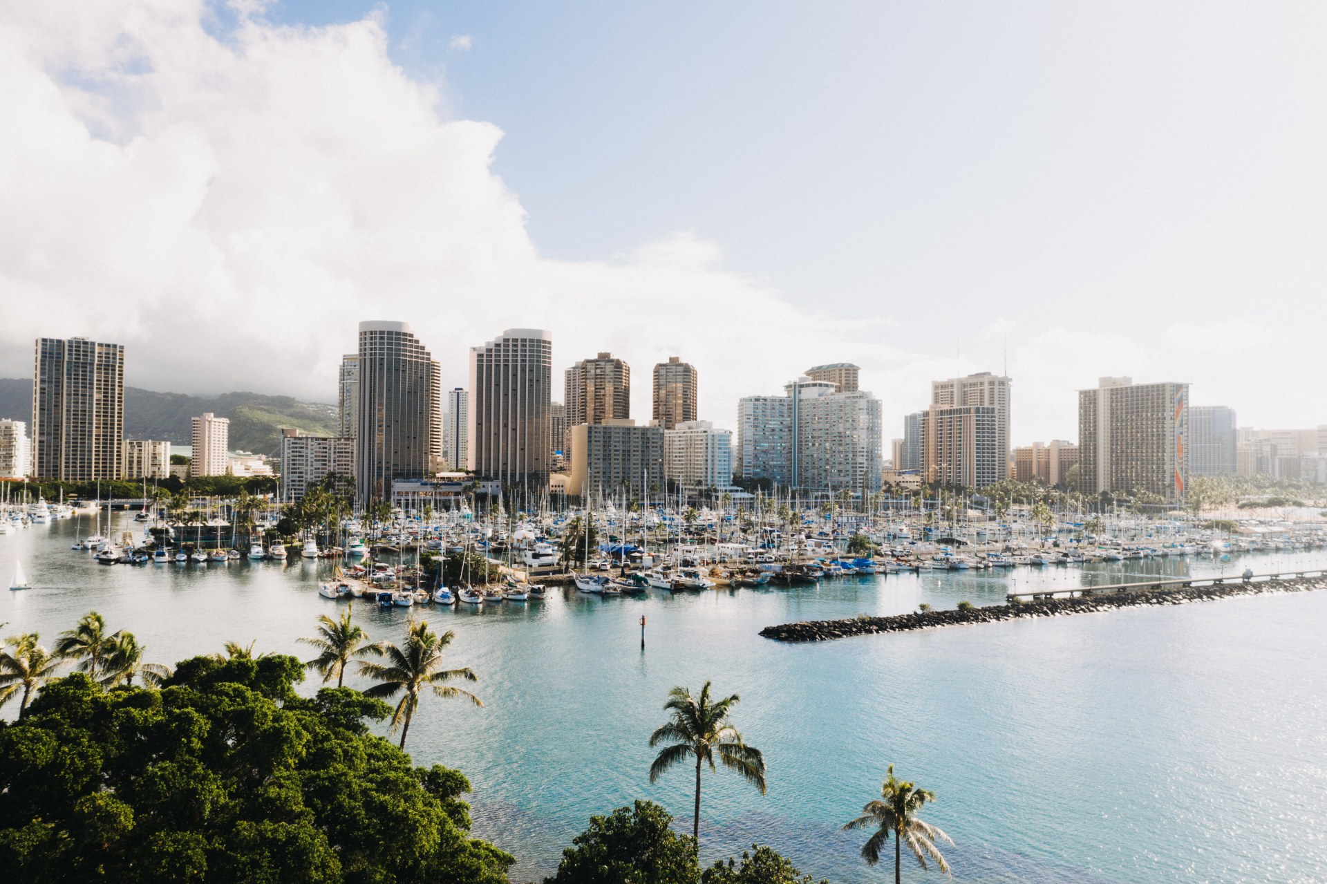 Cruise Lines, Terminals, and Turnaround Logistics