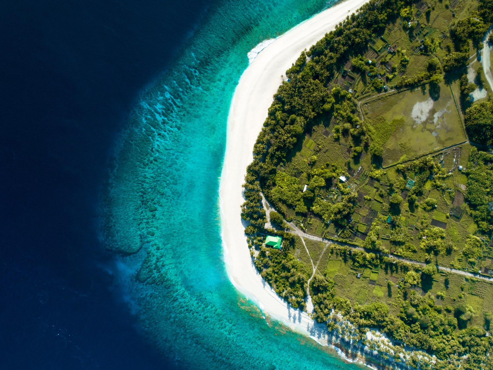 Dark Side of Cruises — Crowding, Queues, and “Private Island” Myths