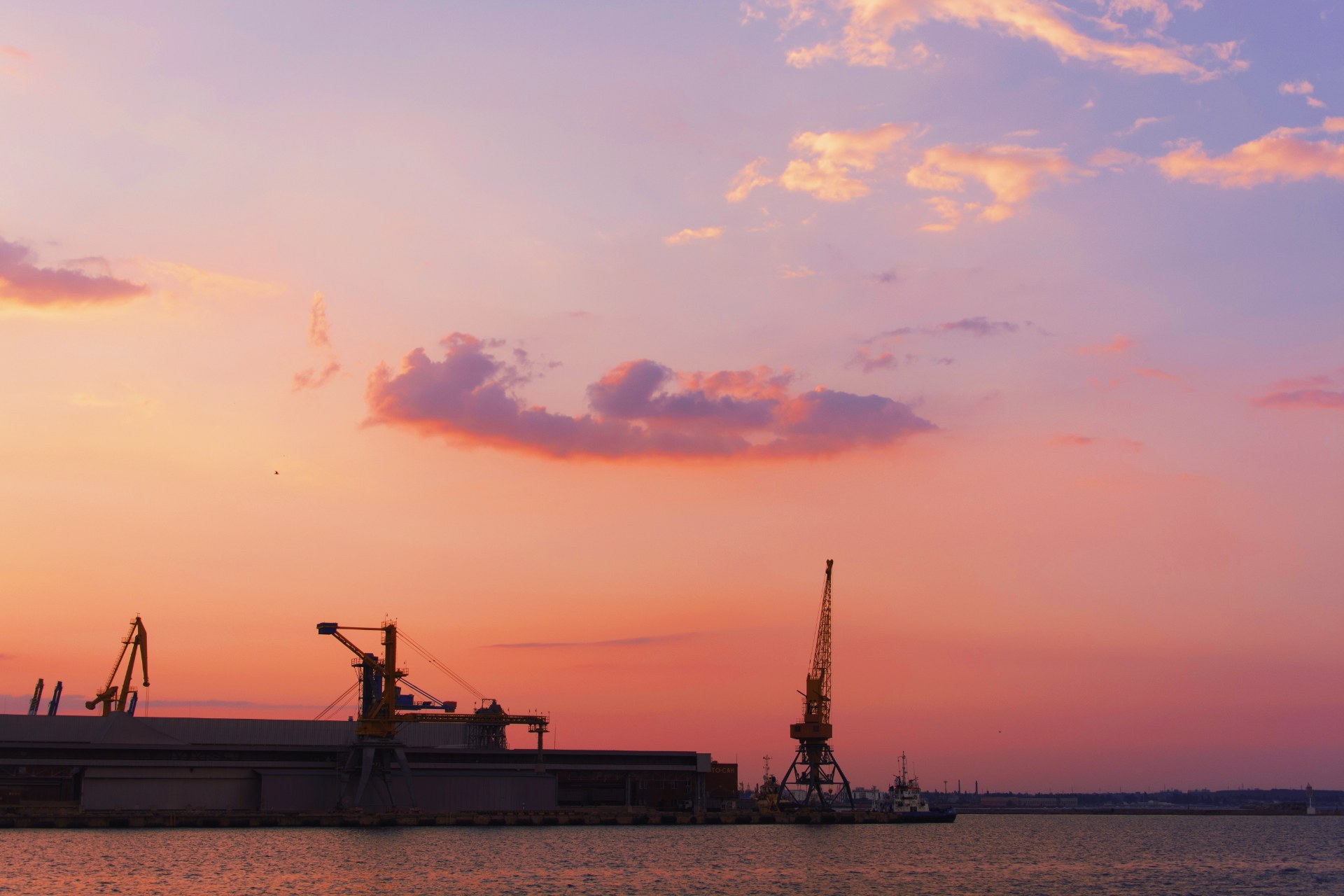 Port Days vs Sea Days: Calories Meet Walking