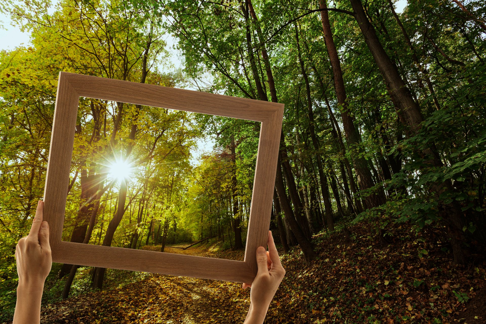 Environmental and Practical Framing (Without the Lecture)