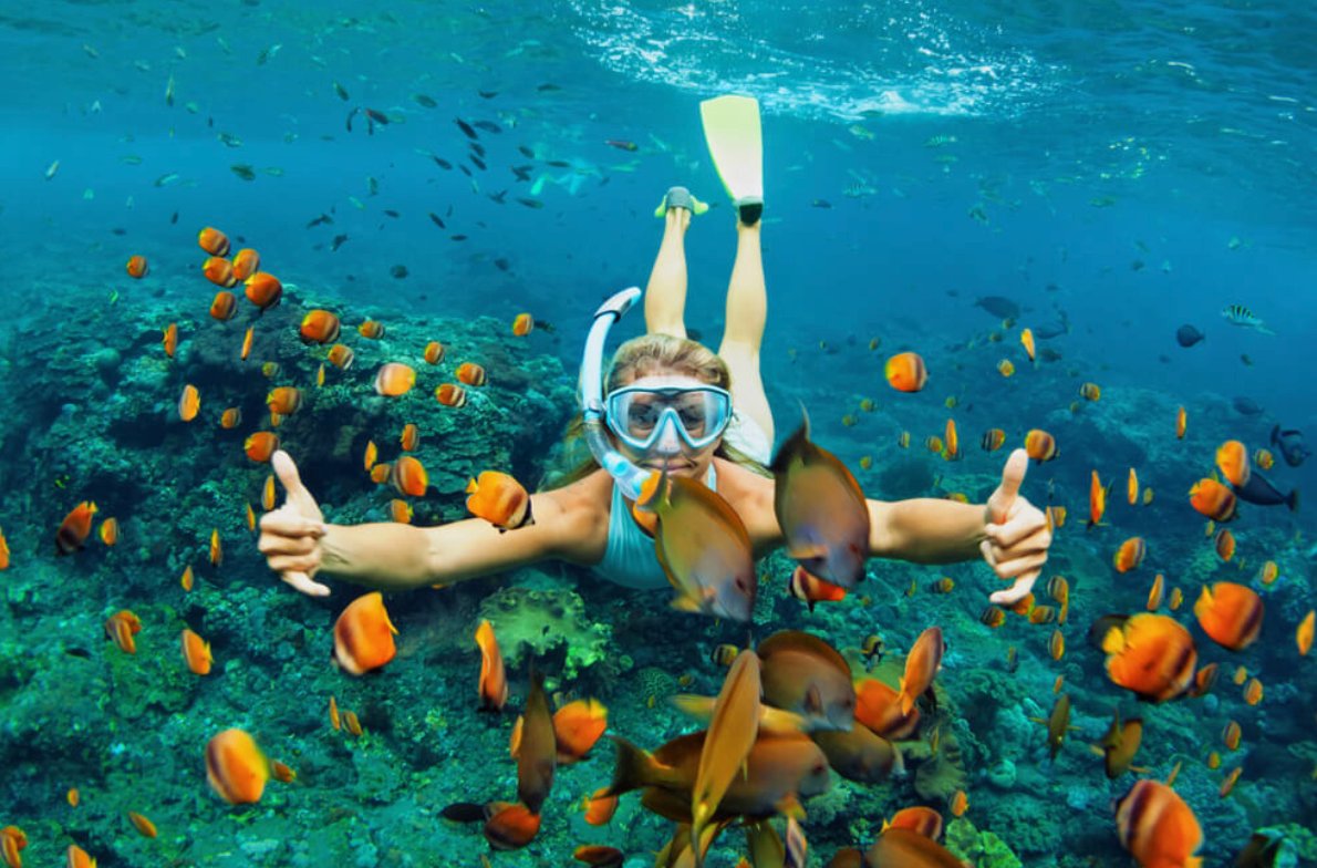 Shore Excursions: AIDA vs Independent Tours